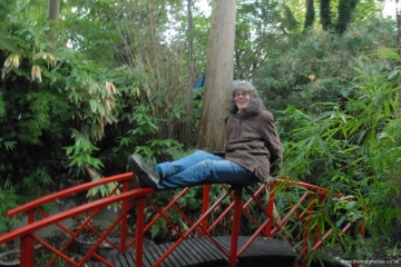 Bridge with Linda 2016