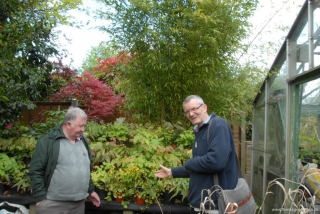 Colin and Billy by display area