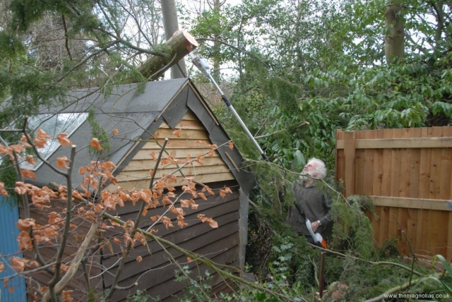 Cutting it up to 1ft through