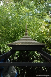 small roof clad - 2nd Sept