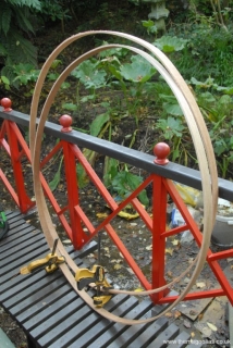 two steamed strips resting - 15th Oct