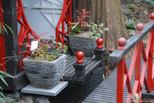 slate pots - 3rd Dec