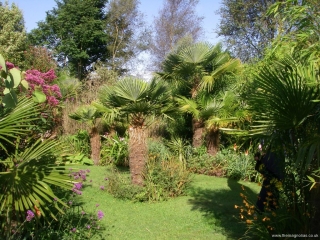 Paul & Valerie Guppy's Garden