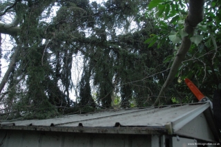 Over Ashley\'s shed