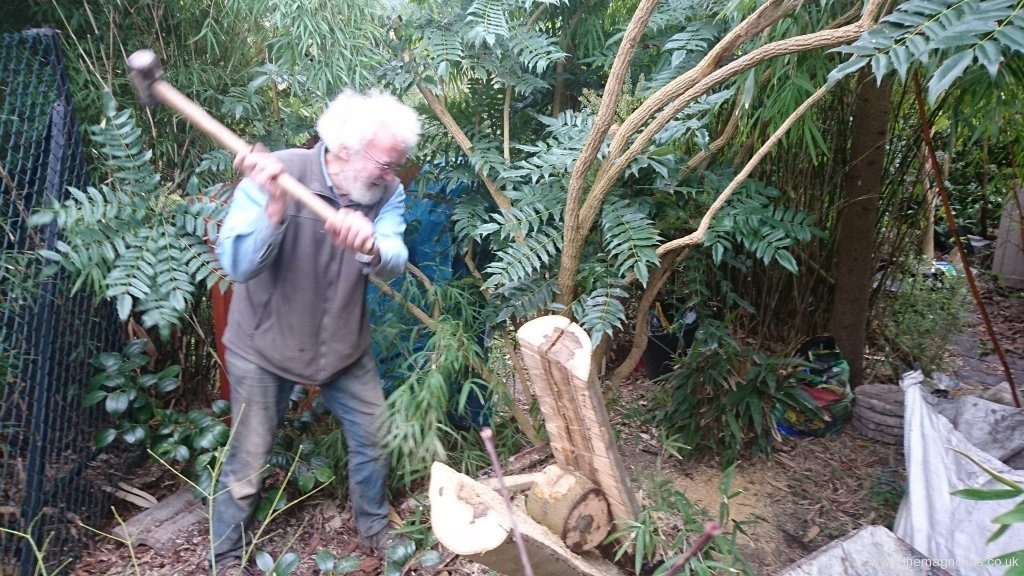 Roger 'Hammer Man' Hammond