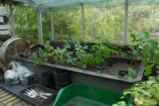 Smaller New Nursery Bed