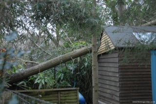 The shed that Roy Built