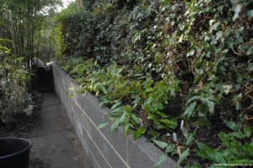 New block raised bed