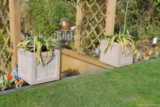 New Half Price Features