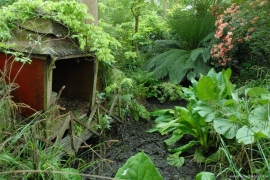 pond pumped out May 2017