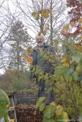 Treading down the leaves to get more in