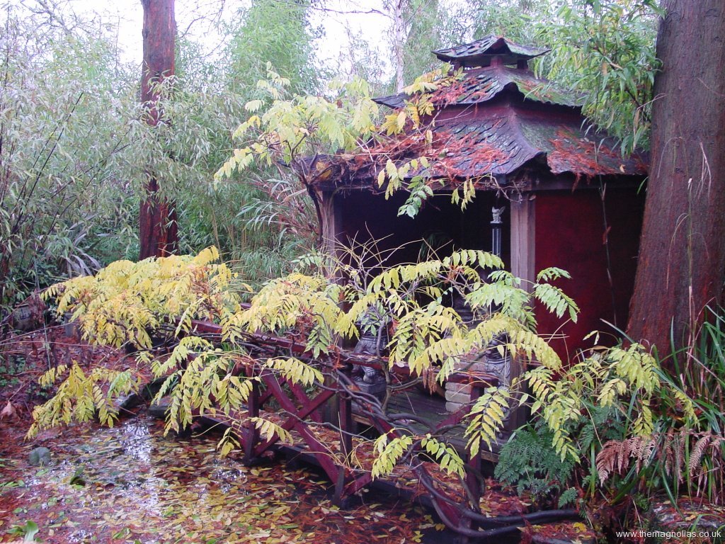ist Pagoda Nov. 2005