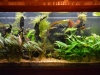 Refurbished Aquarium
