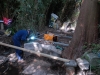 Daryl welding pagoda frame 18th June