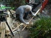 taking steamed wood from box - 15th Aug