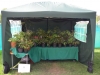 Epimedium display at Hyde Hall 2014
