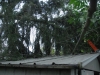 Over Ashley\'s shed