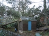 Over Roy\'s shed