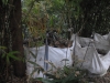Pond Silt in Ton Bags