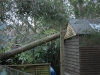 The shed that Roy Built