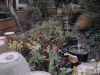 Third Pond Bed