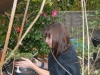 Karen Cleaning Hostas
