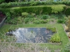 Aerial View of Water Lily Pond with Celastrus Shoots in foreground.