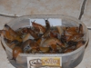 Even More Slugs
