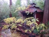 ist Pagoda Nov. 2005