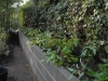 New block raised bed
