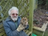 Tawny Owl