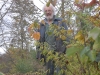 Treading down the leaves to get more in