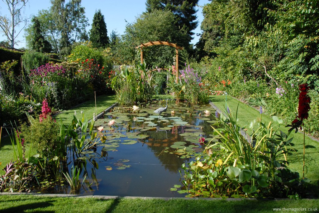 Looking North over the waterlily pond