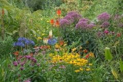 New Summer Garden