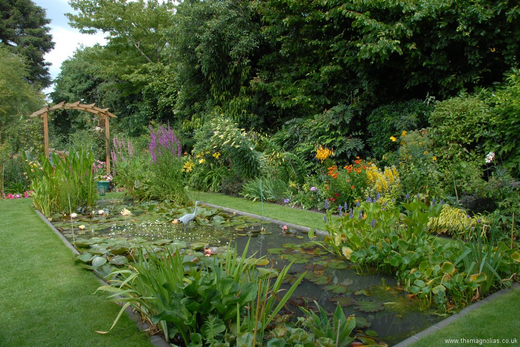 View of Perrenial Border over Waterlily Pond