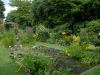 View of Perrenial Border over Waterlily Pond